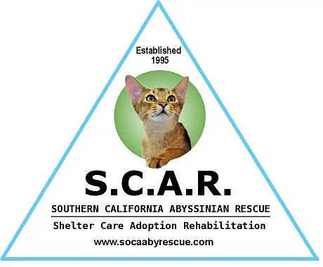 Southern California Abyssinian Rescue