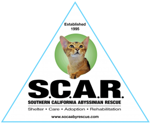 S.C.A.R. logo