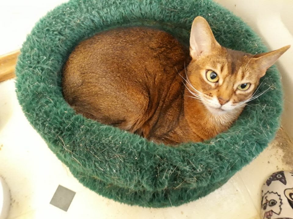 Molly9 rotated