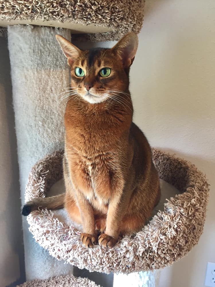 Luna