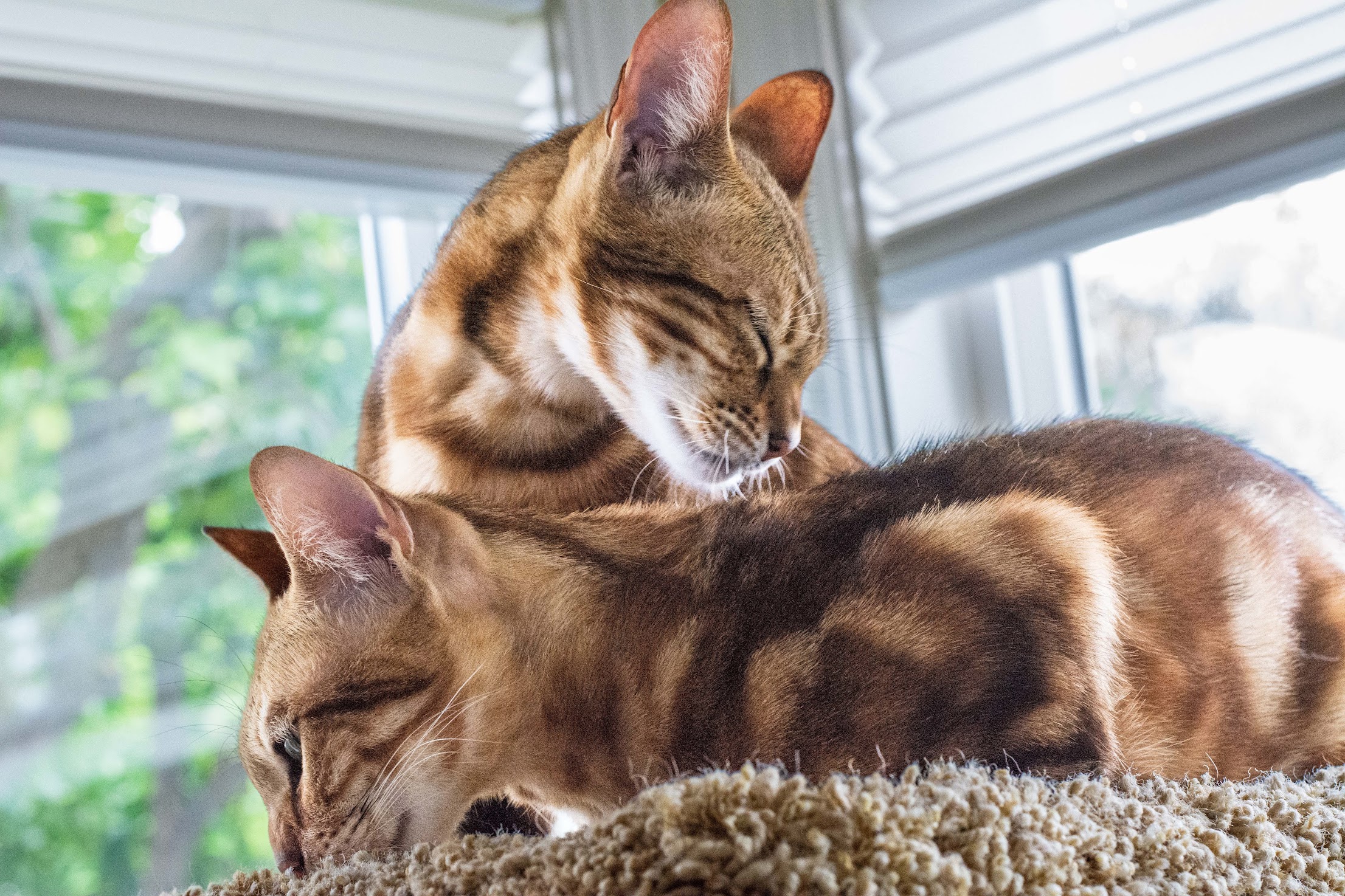 GabyRuby2