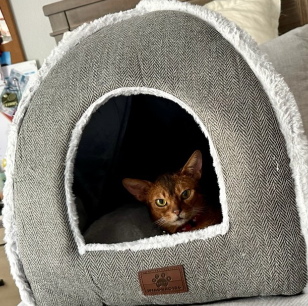 Pepperhome