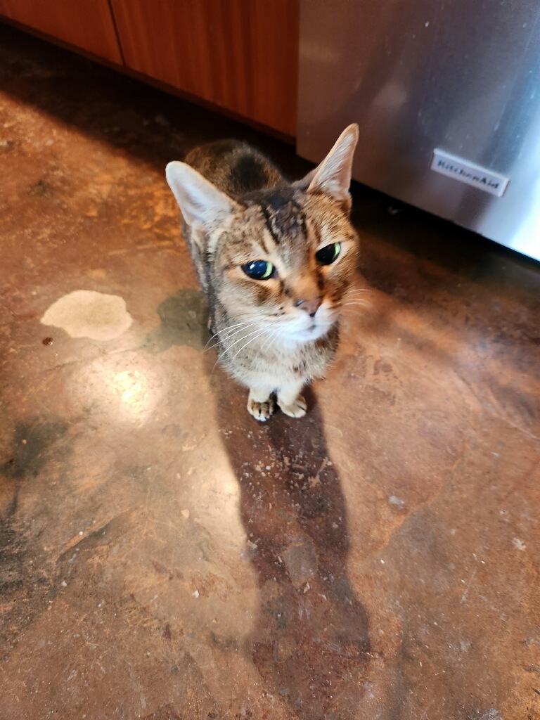 Winston3