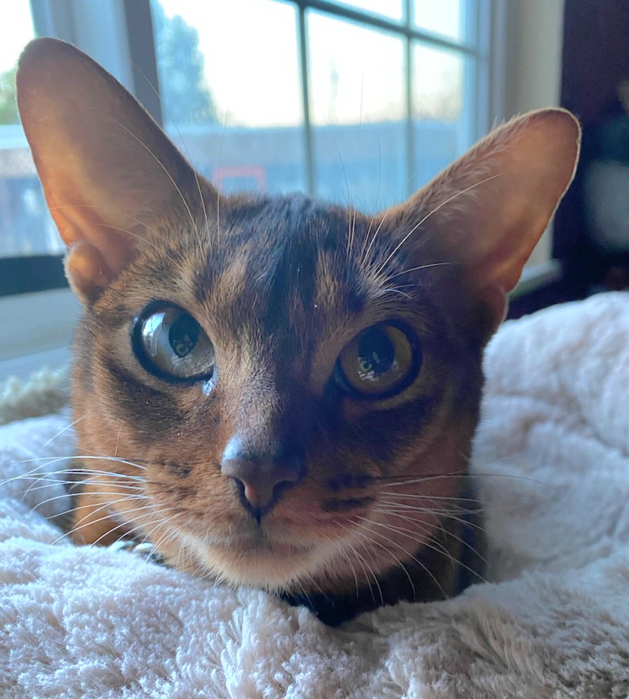 RubyEG8